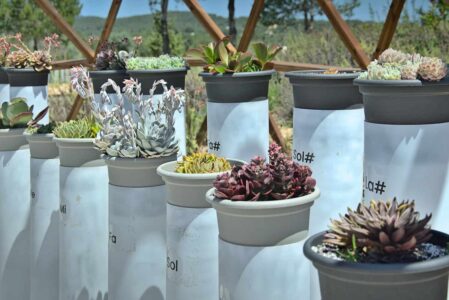 ibiza-botanico-biotecnologico- - -