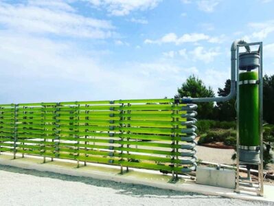 ibiza-botanico-biotecnologico- - -