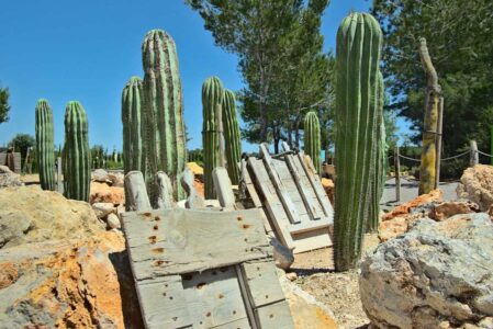 BiBo Park (Ibiza Botánico Biotecnológico)