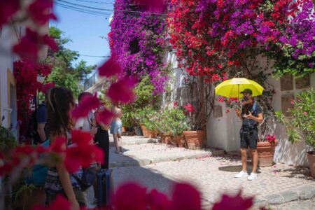Free Tour por Ibiza: Descubre los secretos de la ciudad