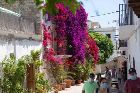 Free Tour por Ibiza: Descubre los secretos de la ciudad