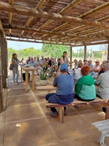 Ibizaloe. Plantación ecológica y Museo de Aloe Vera de Ibiza
