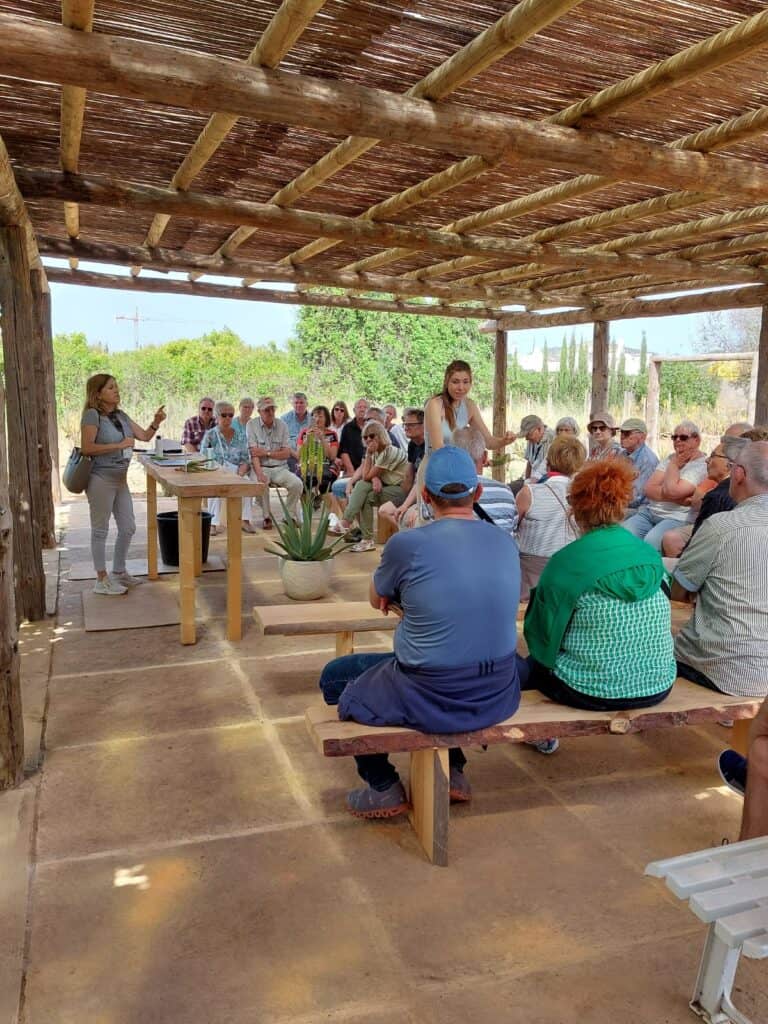 Ibizaloe. Plantación ecológica y Museo de Aloe Vera de Ibiza