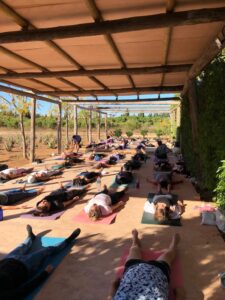 Ibizaloe. Plantación ecológica y Museo de Aloe Vera de Ibiza