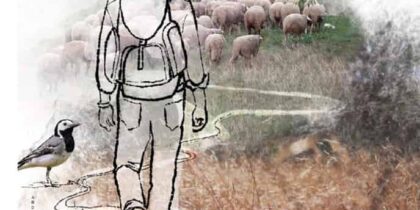 Walk for the II Day of Livestock Routes and Public Paths