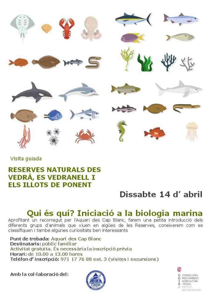 Introduction to marine biology with the Nature Reserves of Ibiza