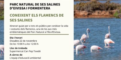 Avistamiento de flamencos con las Reservas Naturales de Ibiza