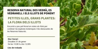 Itinerario guiado con las Reservas Naturales de Ibiza