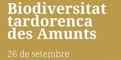 Biodiversitat tardorenca des Amunts: jornada de naturaleza en Ibiza