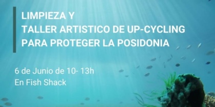 Limpieza de costa y snorkel con Creatives for the Planet (copia)