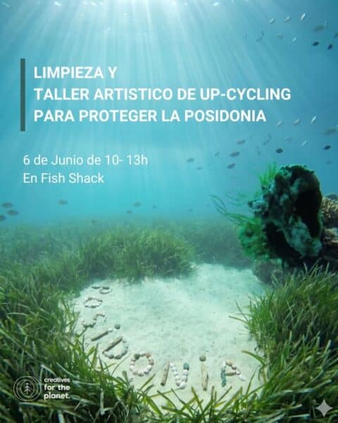 Limpieza de costa y snorkel con Creatives for the Planet (copia)