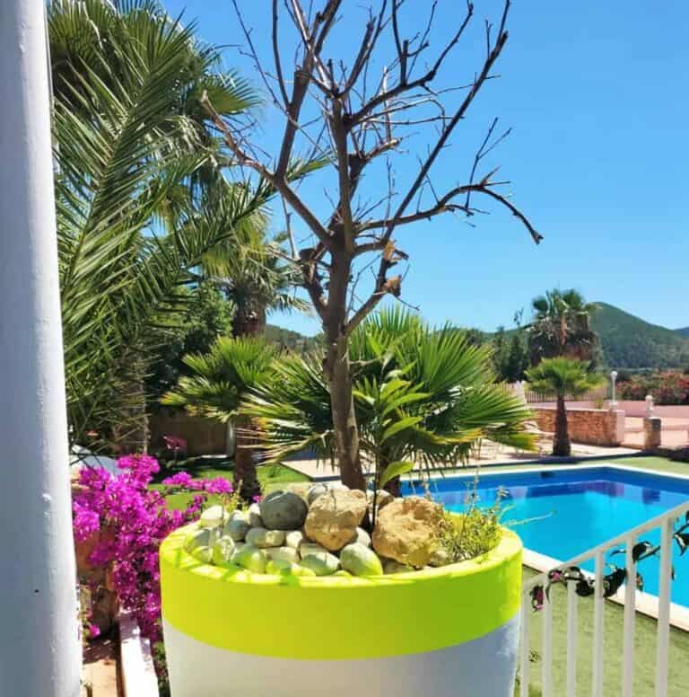 Marino Club Ibiza