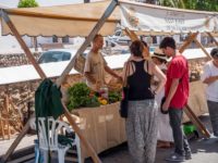 Mercado Artesanal y Ecológico de San José