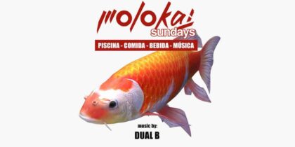 Spaß im Pool mit einem neuen Molokay Sundays Fiestas Ibiza