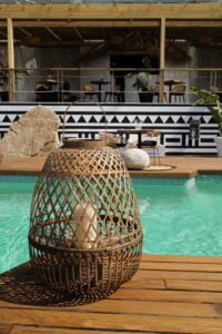 Monkey Ibiza