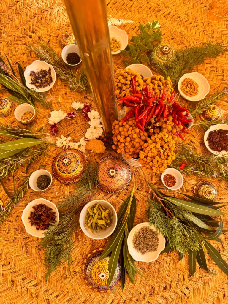 Ohm Ibiza Tea