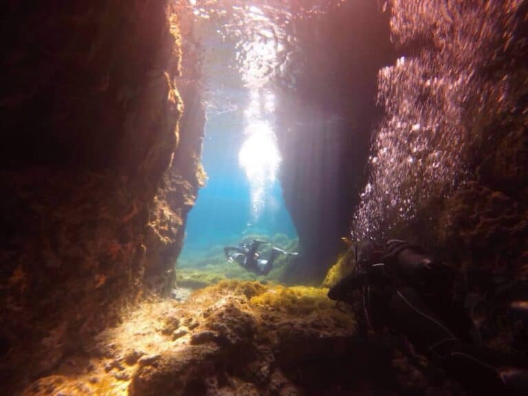 OrcaSub Ibiza Diving Center