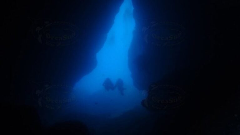 OrcaSub Ibiza Diving Center