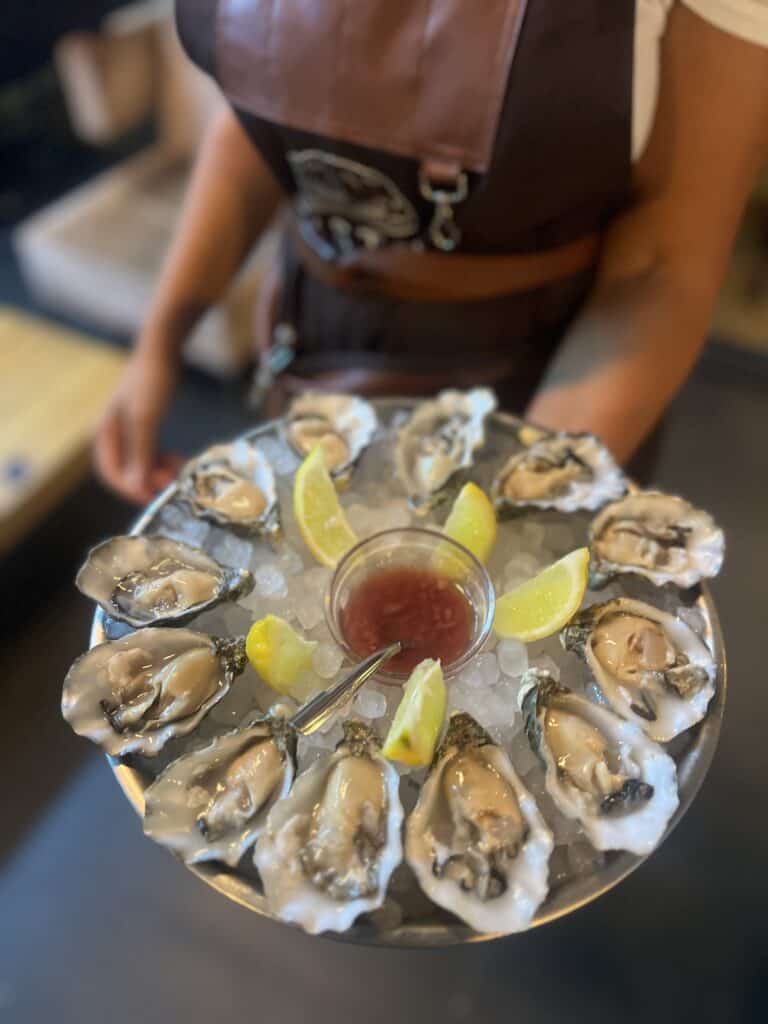 Oyster Ibiza