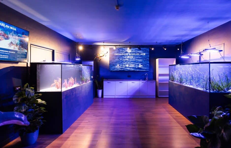Palladium Hotel Group abre en Ibiza un hub marino para conservar la Posidonia y las gorgonias