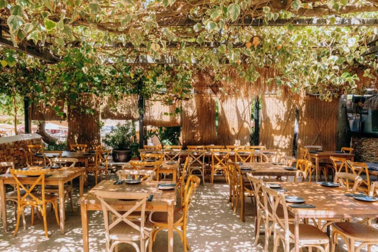 PaloSanto Ibiza