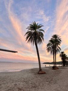 Parasoles