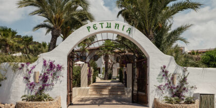 Petunia Ibiza