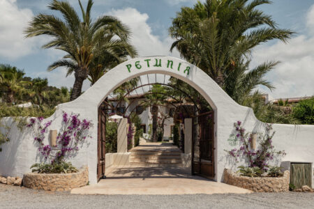 Petunia Ibiza