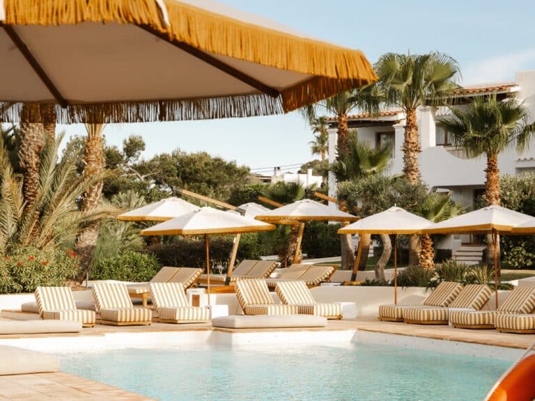 Petunia Ibiza