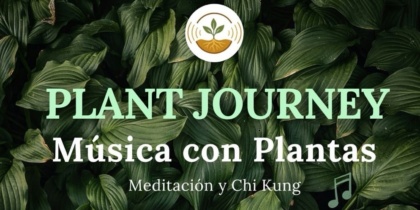 Plant Journey, música con plantas en BIBO Park