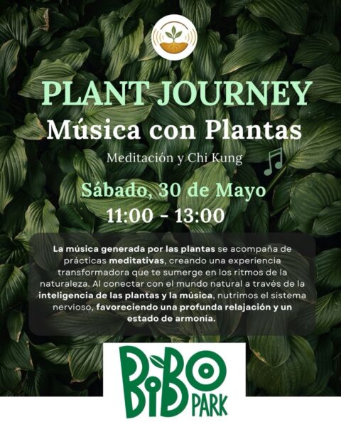 Plant Journey, música con plantas en BIBO Park