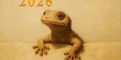 Premios Letras Pitiusas 2026: diez años celebrando la literatura en Ibiza y Formentera