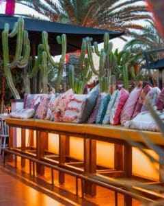 Reapertura de El Carnicero Ibiza