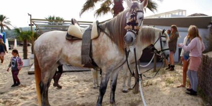Rücklauf: zum Wohle von Can Horse in Nassau Tanit Beach ibiza