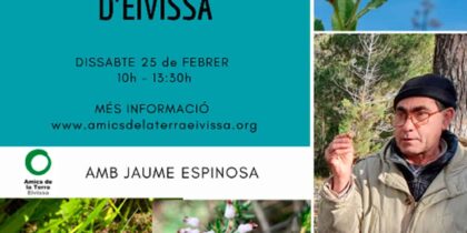Guided tour with Amics de la Terra to discover the flora of Ibiza