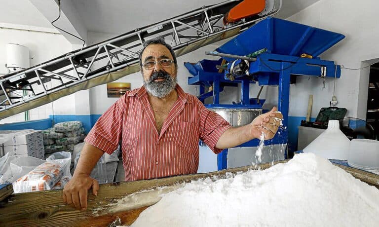 Sal Torres