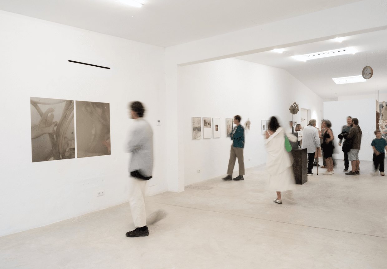 Ses12naus abre su convocatoria de residencias artísticas 2026/2027 en Ibiza