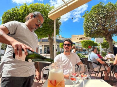 Surikata Ibiza