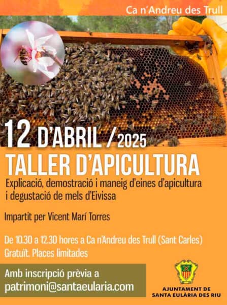 Taller de apicultura en Ca n'Andreu