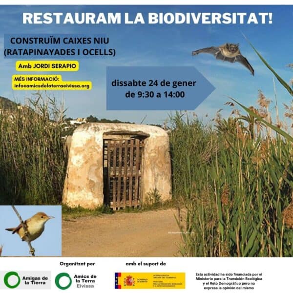 Taller de construcción de cajas nido con Amics de la Terra