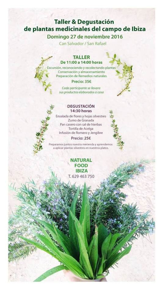 taller-degustacion-plantas-medicinales-can-salvador-ibiza-welcometoibiza