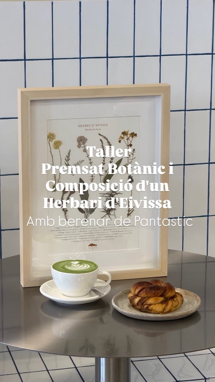 Taller de prensado botánico y composición de un herbario con Sa Terra Ibiza