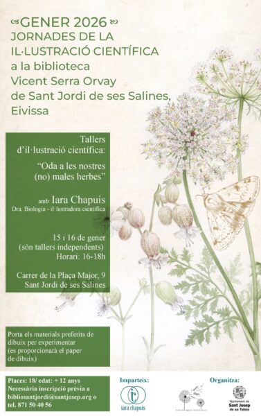 Talleres de ilustración científica en la Biblioteca de Sant Jordi