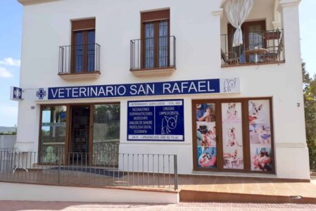 Veterinario San Rafael