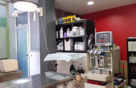 Veterinario San Rafael