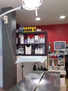 Veterinario San Rafael