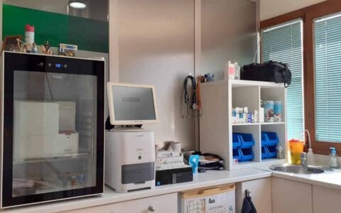 Veterinario San Rafael