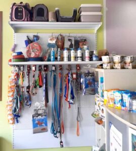 Veterinario San Rafael