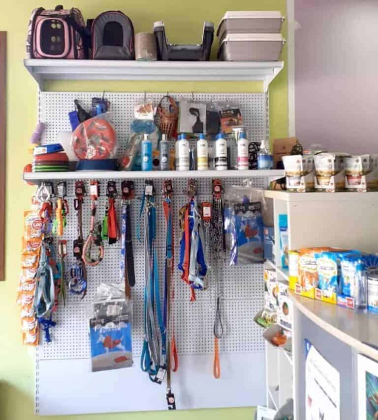Veterinario San Rafael